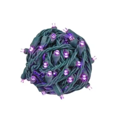 Novelty Lights 50 Light LED Christmas Mini Light Set (Green Wire, 25 Feet) -Target Sale Shop GUEST 1ee39584 7fed 4f45 bcf7 3058a9061d71