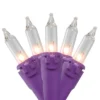 Brite Star 50ct Mini Christmas Lights Clear - 19' Purple Wire