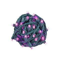 Novelty Lights 50 Light LED Christmas Mini Light Set (Green Wire, 25 Feet) -Target Sale Shop GUEST 90658cc8 48ac 46ac 9027 3fb6821c71f9