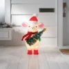 Incandescent Tinsel Mouse Christmas Novelty Sculpture Light With Clear/Multicolor Light Bulb - Wondershop™ -Target Sale Shop GUEST d0871e27 6bd8 4346 8ac2 1f7f18898994