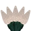 Northlight LED C6 Faceted Christmas Lights - Warm White - 15.75’ Green Wire - 50ct 9 Northlight LED C6 Faceted Christmas Lights - Warm White - 15.75’ Green Wire - 50ct -Target Sale Shop GUEST ea419ae4 47cb 437f 8266 ec4ecf38c86a